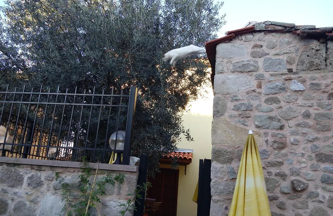 Aristonicus Boutique Hotel-1