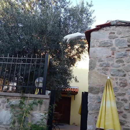 Aristonicus Boutique Hotel-3